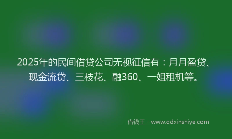 2025年的民间借贷公司无视征信有：月月盈贷、现金流贷、三枝花、融360、一姐租机等。