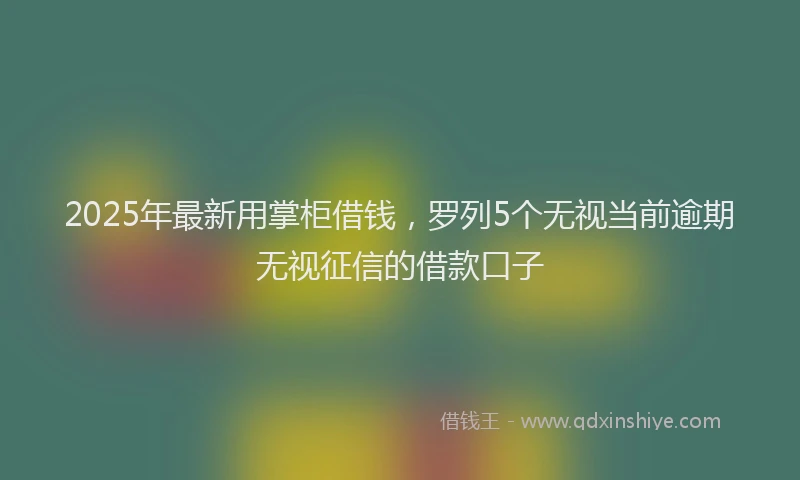 2025年最新用掌柜借钱，罗列5个无视当前逾期无视征信的借款口子