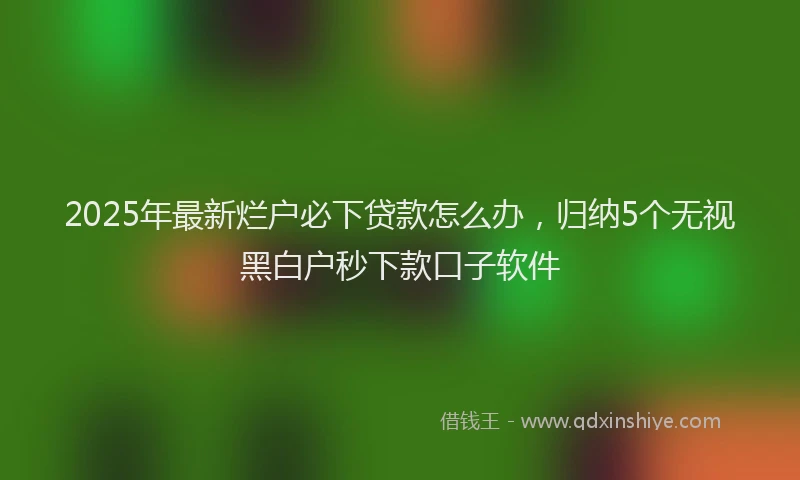 2025年最新烂户必下贷款怎么办，归纳5个无视黑白户秒下款口子软件
