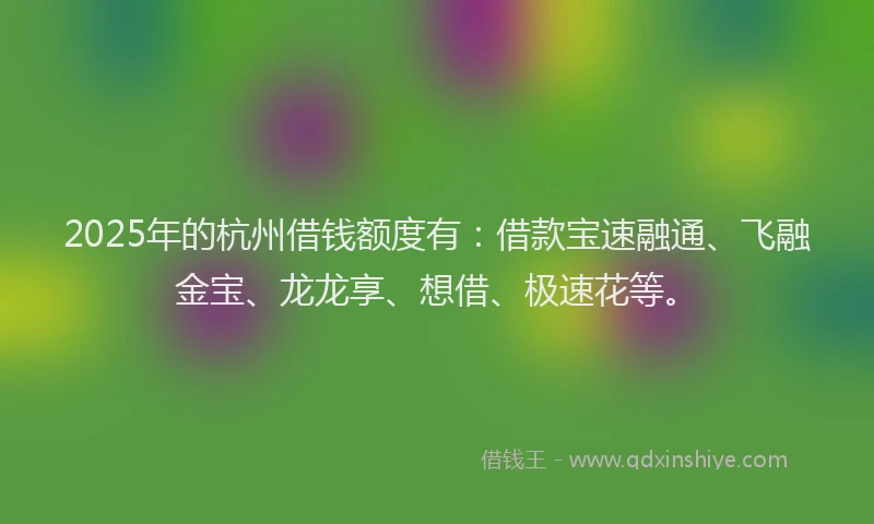 2025年的杭州借钱额度有：借款宝速融通、飞融金宝、龙龙享、想借、极速花等。