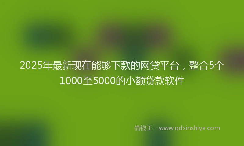 2025年最新现在能够下款的网贷平台，整合5个1000至5000的小额贷款软件