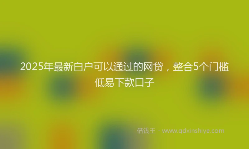 2025年最新白户可以通过的网贷，整合5个门槛低易下款口子