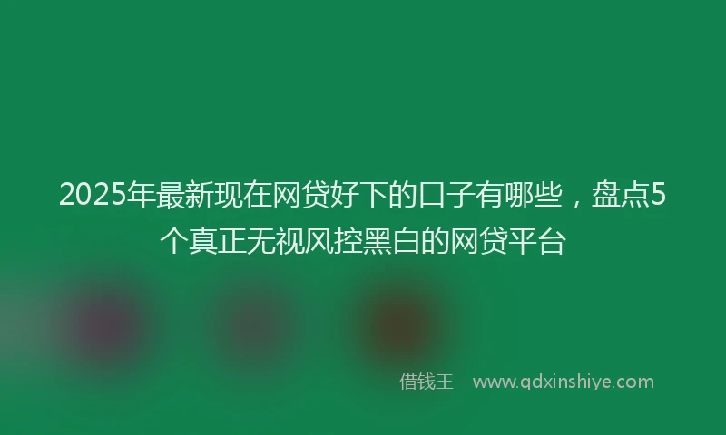 2025年最新现在网贷好下的口子有哪些，盘点5个真正无视风控黑白的网贷平台