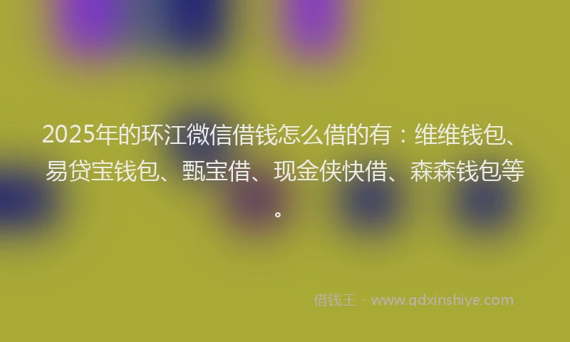 2025年的环江微信借钱怎么借的有：维维钱包、易贷宝钱包、甄宝借、现金侠快借、森森钱包等。