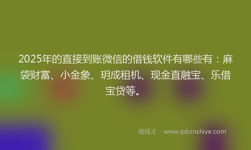 2025年的直接到账微信的借钱软件有哪些有：麻袋财富、小金象、玥成租机、现金直融宝、乐借宝贷等。