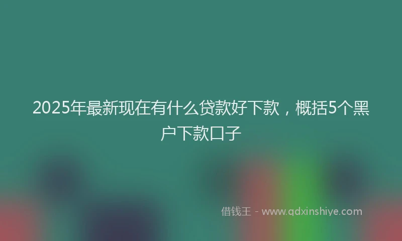 2025年最新现在有什么贷款好下款，概括5个黑户下款口子