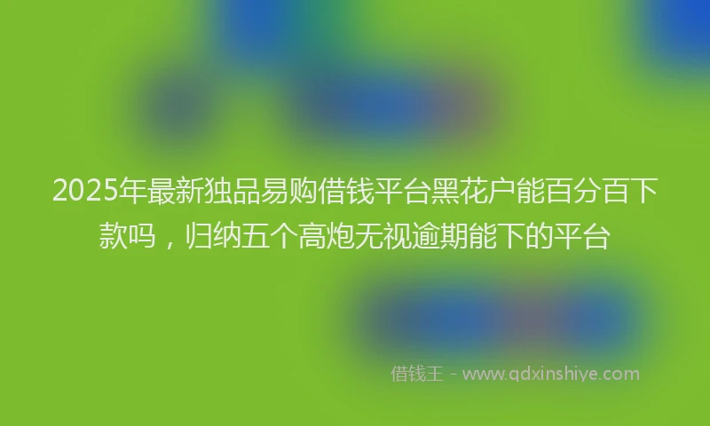 2025年最新独品易购借钱平台黑花户能百分百下款吗，归纳五个高炮无视逾期能下的平台