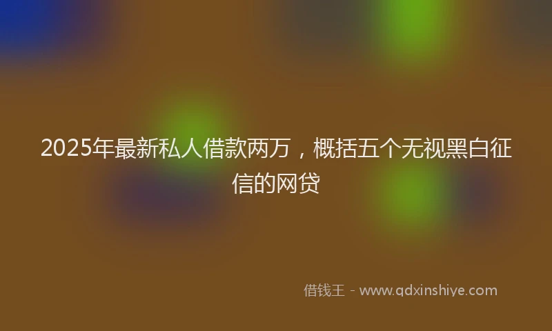 2025年最新私人借款两万，概括五个无视黑白征信的网贷