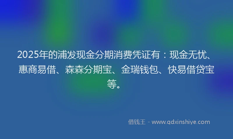 2025年的浦发现金分期消费凭证有：现金无忧、惠商易借、森森分期宝、金瑞钱包、快易借贷宝等。