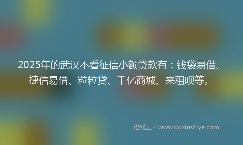2025年的武汉不看征信小额贷款有：钱袋易借、捷信易借、粒粒贷、千亿商城、来租呗等。