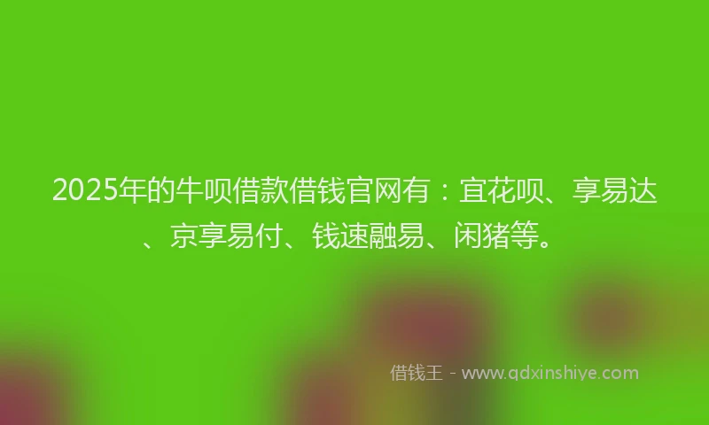 2025年的牛呗借款借钱官网有：宜花呗、享易达、京享易付、钱速融易、闲猪等。