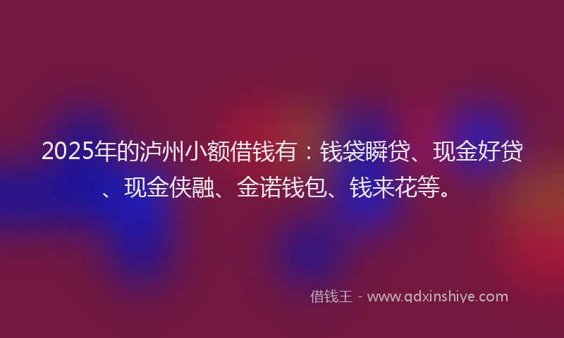 2025年的泸州小额借钱有：钱袋瞬贷、现金好贷、现金侠融、金诺钱包、钱来花等。