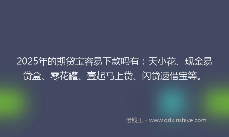2025年的期贷宝容易下款吗有：天小花、现金易贷盒、零花罐、壹起马上贷、闪贷速借宝等。