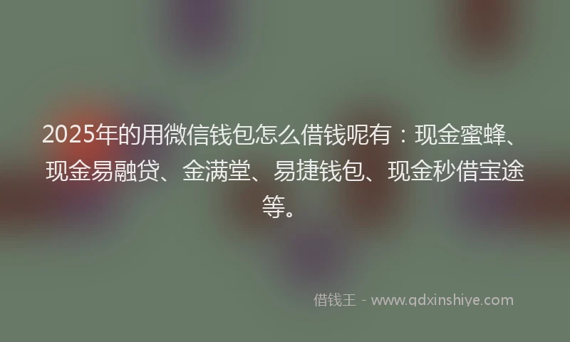 2025年的用微信钱包怎么借钱呢有：现金蜜蜂、现金易融贷、金满堂、易捷钱包、现金秒借宝途等。