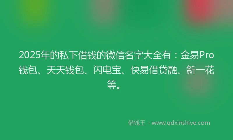 2025年的私下借钱的微信名字大全有：金易Pro钱包、天天钱包、闪电宝、快易借贷融、新一花等。