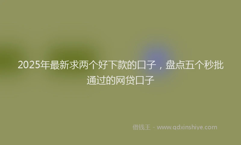 2025年最新求两个好下款的口子，盘点五个秒批通过的网贷口子