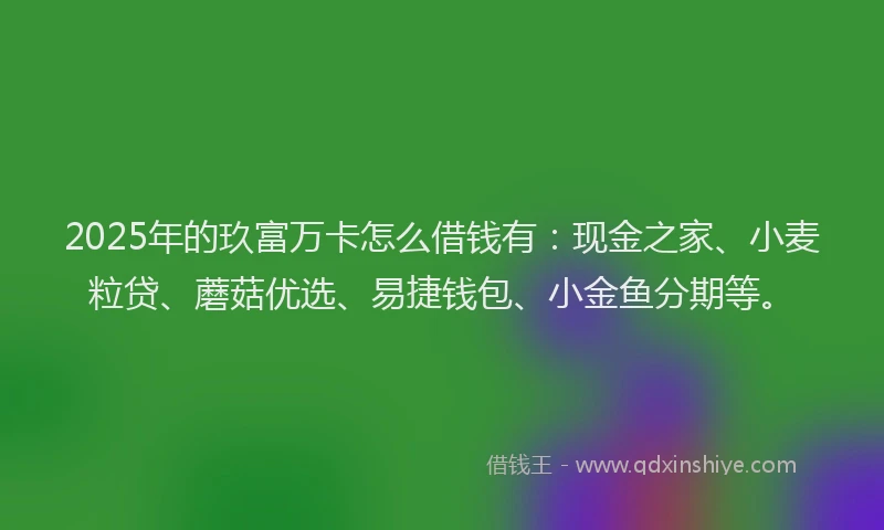 2025年的玖富万卡怎么借钱有：现金之家、小麦粒贷、蘑菇优选、易捷钱包、小金鱼分期等。