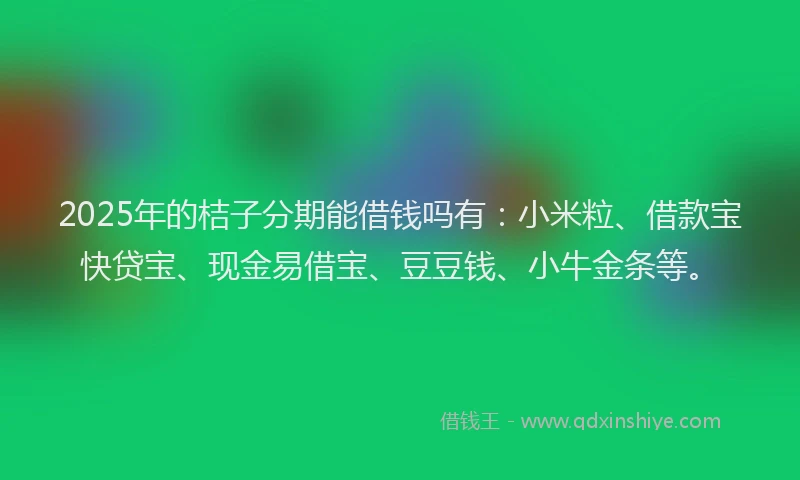 2025年的桔子分期能借钱吗有：小米粒、借款宝快贷宝、现金易借宝、豆豆钱、小牛金条等。