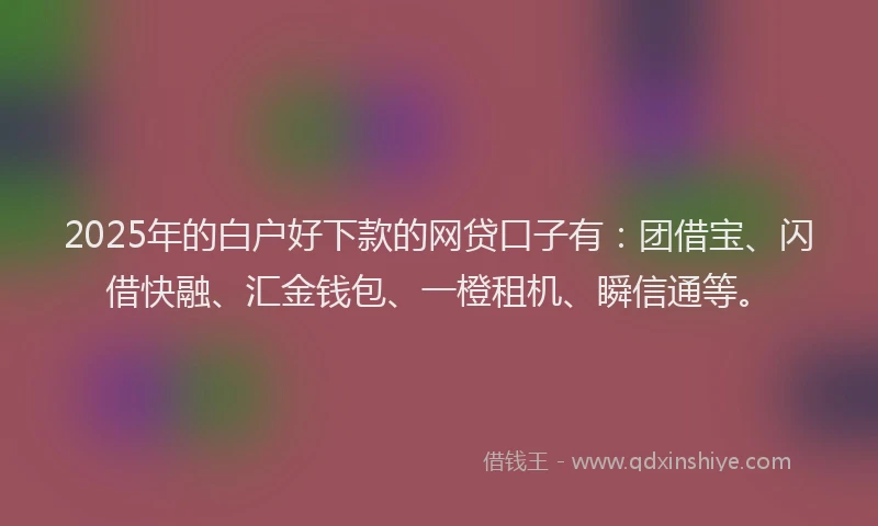 2025年的白户好下款的网贷口子有：团借宝、闪借快融、汇金钱包、一橙租机、瞬信通等。