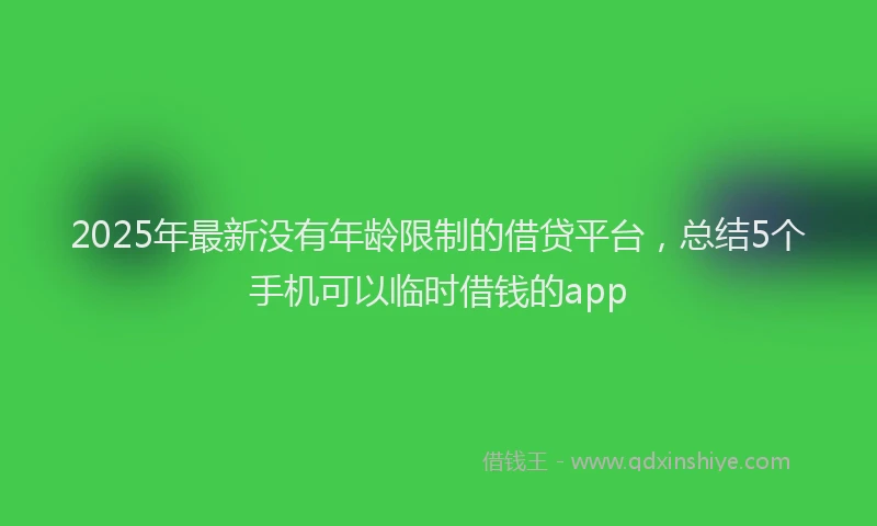 2025年最新没有年龄限制的借贷平台，总结5个手机可以临时借钱的app