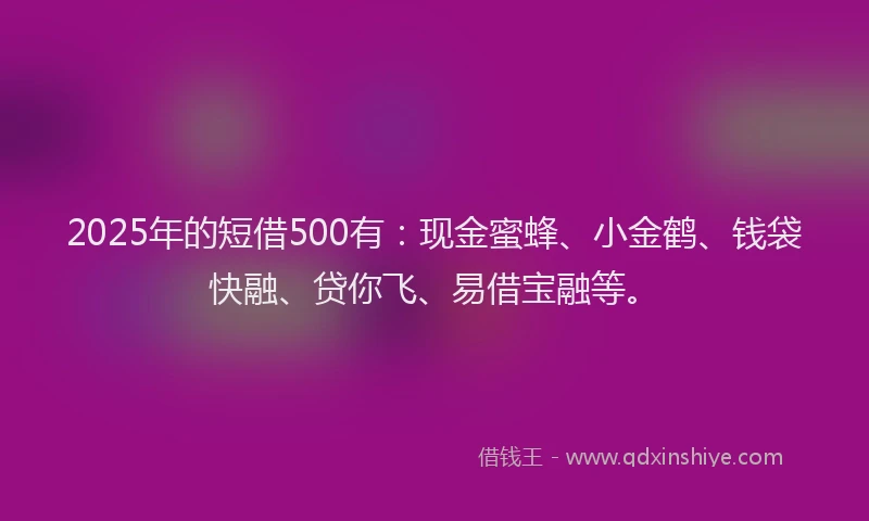 2025年的短借500有：现金蜜蜂、小金鹤、钱袋快融、贷你飞、易借宝融等。