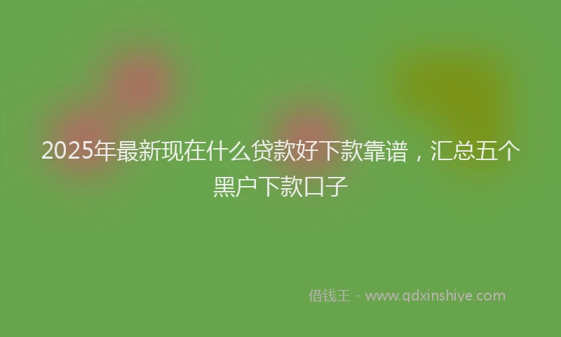 2025年最新现在什么贷款好下款靠谱，汇总五个黑户下款口子