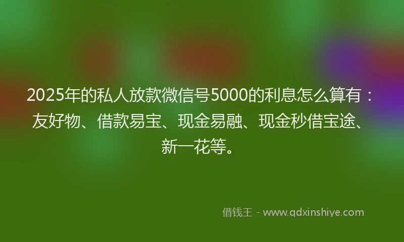 2025年的私人放款微信号5000的利息怎么算有：友好物、借款易宝、现金易融、现金秒借宝途、新一花等。