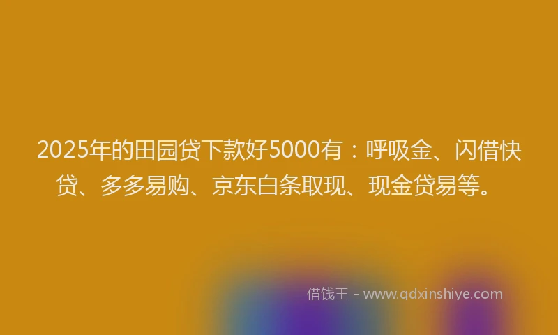 2025年的田园贷下款好5000有：呼吸金、闪借快贷、多多易购、京东白条取现、现金贷易等。