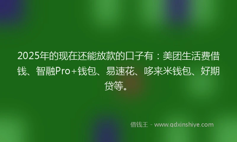 2025年的现在还能放款的口子有：美团生活费借钱、智融Pro+钱包、易速花、哆来米钱包、好期贷等。