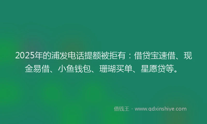 2025年的浦发电话提额被拒有：借贷宝速借、现金易借、小鱼钱包、珊瑚买单、星愿贷等。