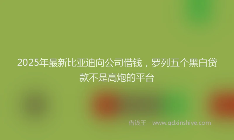 2025年最新比亚迪向公司借钱，罗列五个黑白贷款不是高炮的平台