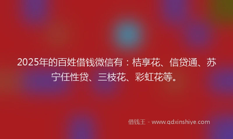 2025年的百姓借钱微信有：桔享花、信贷通、苏宁任性贷、三枝花、彩虹花等。