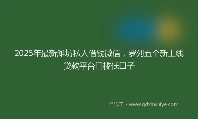 2025年最新潍坊私人借钱微信，罗列五个新上线贷款平台门槛低口子