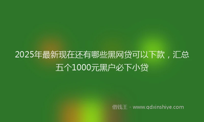 2025年最新现在还有哪些黑网贷可以下款，汇总五个1000元黑户必下小贷