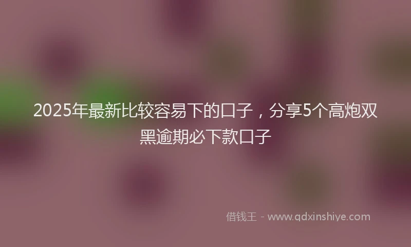 2025年最新比较容易下的口子，分享5个高炮双黑逾期必下款口子