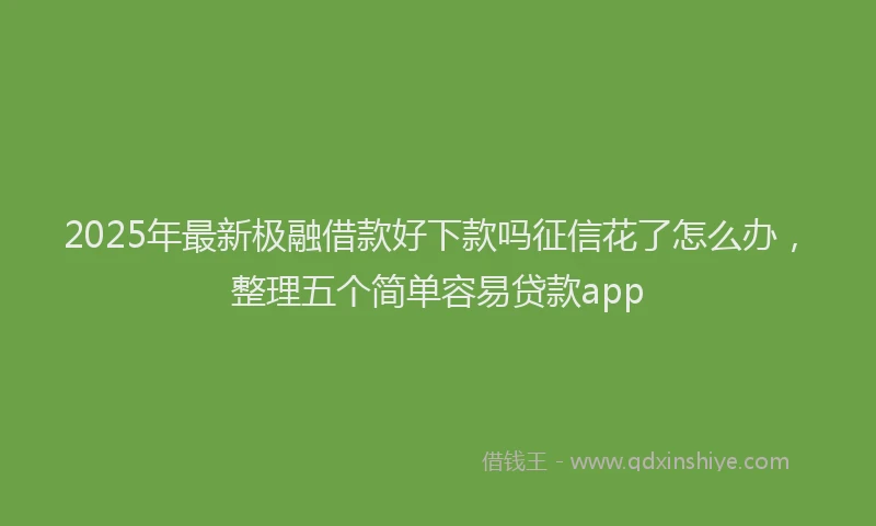 2025年最新极融借款好下款吗征信花了怎么办，整理五个简单容易贷款app