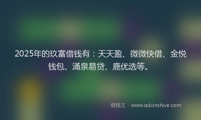 2025年的玖富借钱有：天天盈、微微快借、金悦钱包、涌泉易贷、鹿优选等。