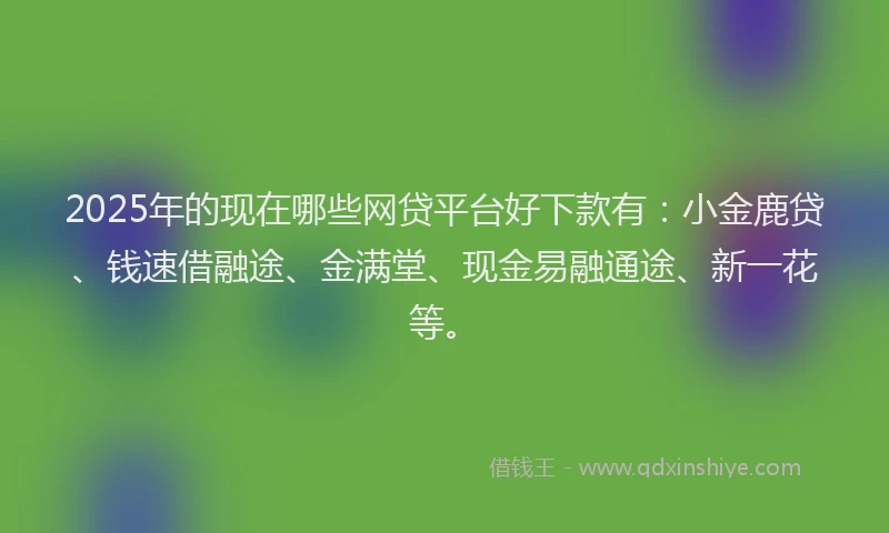 2025年的现在哪些网贷平台好下款有：小金鹿贷、钱速借融途、金满堂、现金易融通途、新一花等。