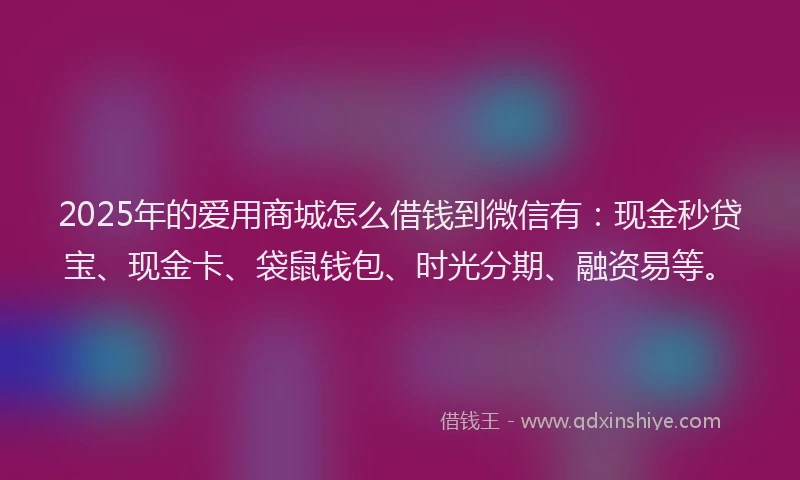 2025年的爱用商城怎么借钱到微信有：现金秒贷宝、现金卡、袋鼠钱包、时光分期、融资易等。