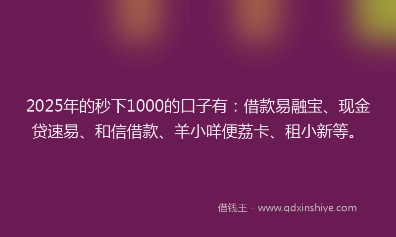 2025年的秒下1000的口子有：借款易融宝、现金贷速易、和信借款、羊小咩便荔卡、租小新等。