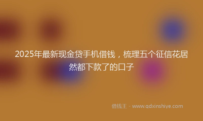 2025年最新现金贷手机借钱，梳理五个征信花居然都下款了的口子