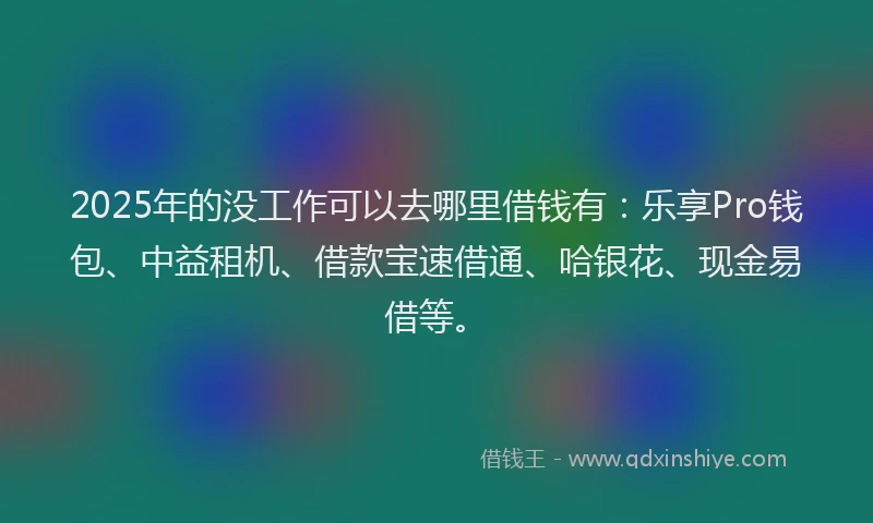 2025年的没工作可以去哪里借钱有:乐享Pro钱包、中益租机、借款宝速借通、哈银花、现金易借等。
