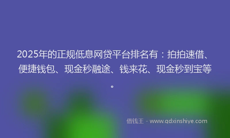 2025年的正规低息网贷平台排名有：拍拍速借、便捷钱包、现金秒融途、钱来花、现金秒到宝等。