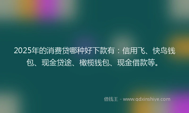 2025年的消费贷哪种好下款有:信用飞、快鸟钱包、现金贷途、橄榄钱包、现金借款等。