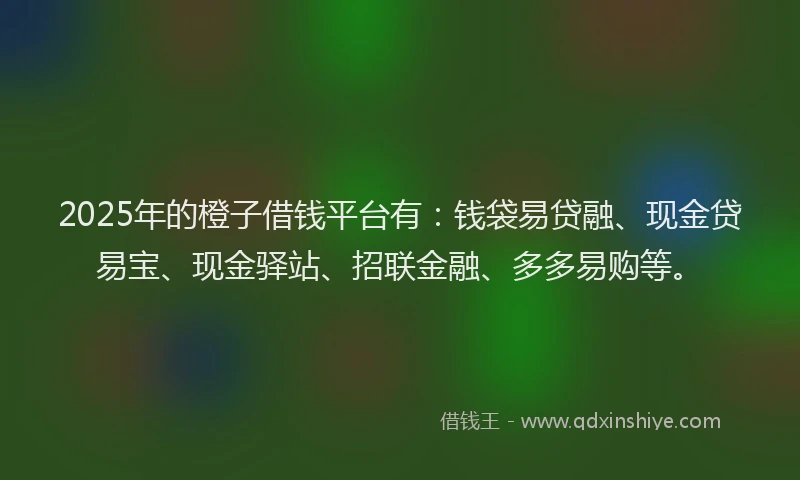 2025年的橙子借钱平台有：钱袋易贷融、现金贷易宝、现金驿站、招联金融、多多易购等。