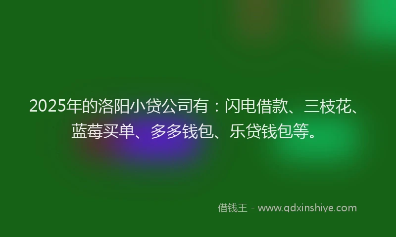 2025年的洛阳小贷公司有：闪电借款、三枝花、蓝莓买单、多多钱包、乐贷钱包等。