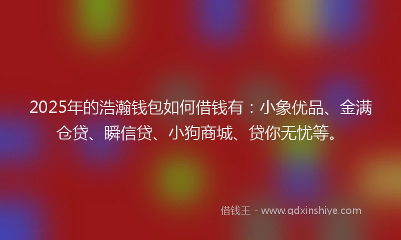 2025年的浩瀚钱包如何借钱有：小象优品、金满仓贷、瞬信贷、小狗商城、贷你无忧等。