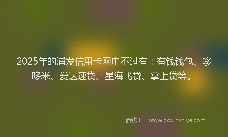 2025年的浦发信用卡网申不过有：有钱钱包、哆哆米、爱达速贷、星海飞贷、掌上贷等。
