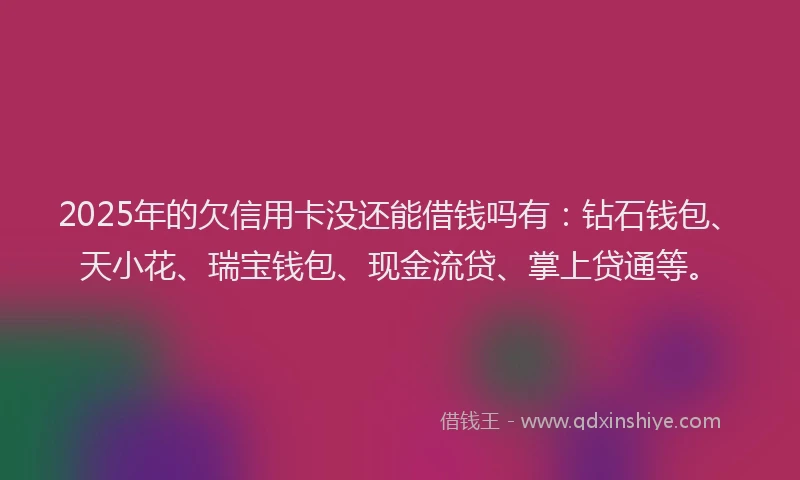 2025年的欠信用卡没还能借钱吗有：钻石钱包、天小花、瑞宝钱包、现金流贷、掌上贷通等。