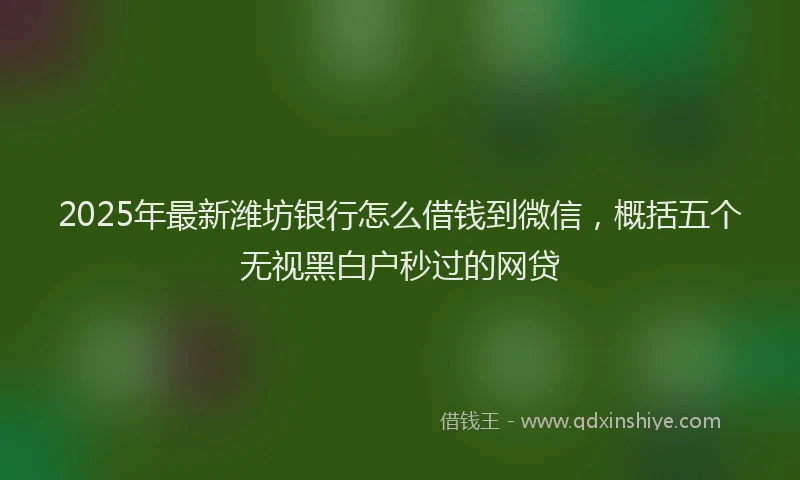 2025年最新潍坊银行怎么借钱到微信，概括五个无视黑白户秒过的网贷